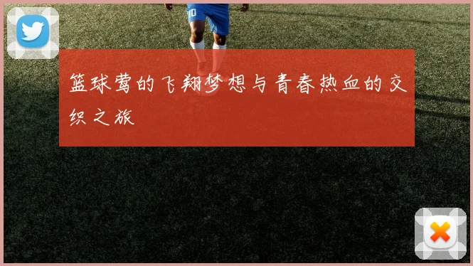 篮球莺的飞翔梦想与青春热血的交织之旅