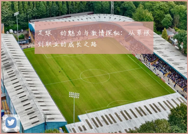 足球圢的魅力与激情探秘：从草根到职业的成长之路